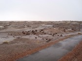 Enlarge photo 192