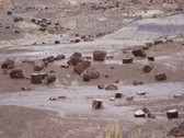 Enlarge photo 193