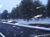Enlarge photo 197
