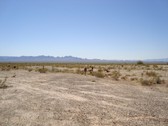 Enlarge photo 275