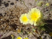 Enlarge photo 282