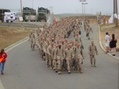 Enlarge photo 206