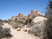 Enlarge photo 214