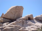 Enlarge photo 215