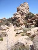 Enlarge photo 218