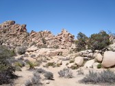 Enlarge photo 222