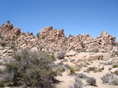 Enlarge photo 225