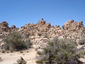 Enlarge photo 223