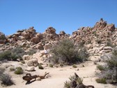 Enlarge photo 224