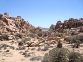 Enlarge photo 228
