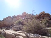 Enlarge photo 231