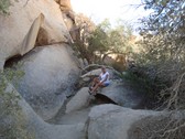 Enlarge photo 234