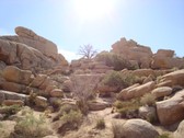 Enlarge photo 238