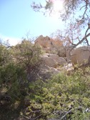 Enlarge photo 240