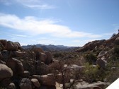 Enlarge photo 219