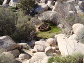 Enlarge photo 246