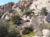Enlarge photo 247