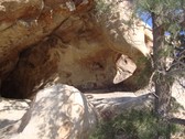 Enlarge photo 245