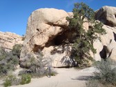 Enlarge photo 250