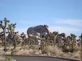 Enlarge photo 251