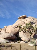 Enlarge photo 255