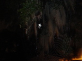 SpiderWebWonder
