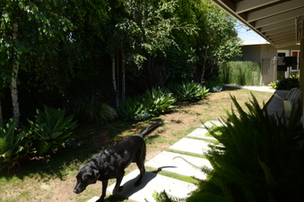 Enlarge photo 55