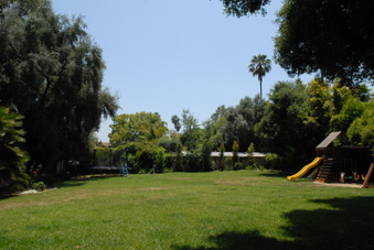 Enlarge photo 51