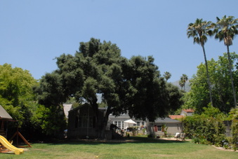 Enlarge photo 58