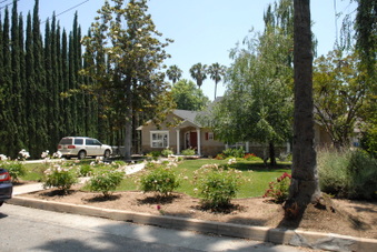 Enlarge photo 64