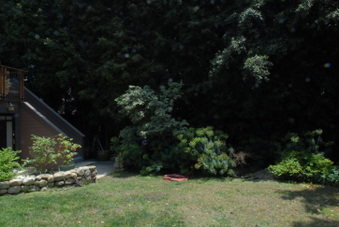 Enlarge photo 48