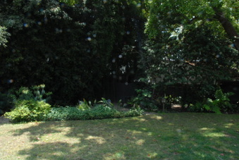 Enlarge photo 49