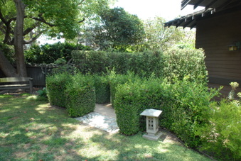 Enlarge photo 51