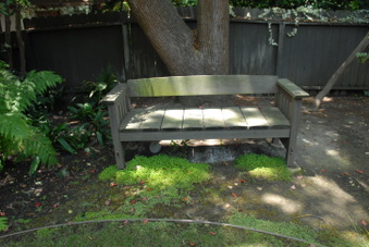 Enlarge photo 53