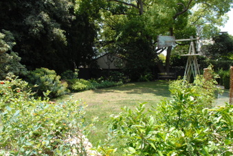 Enlarge photo 59