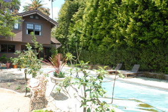 Enlarge photo 62