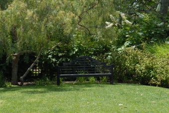 Enlarge photo 72
