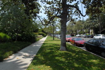 Enlarge photo 81