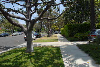 Enlarge photo 82