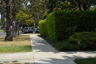 Enlarge photo 83