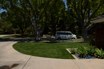 Enlarge photo 81