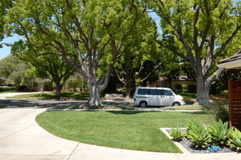 Enlarge photo 82
