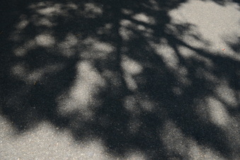 Enlarge photo 88