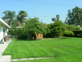 Enlarge photo 38