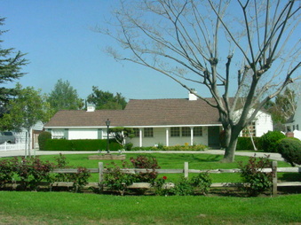 Enlarge photo 43