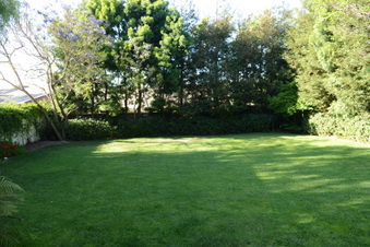 Enlarge photo 98