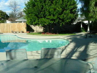 Enlarge photo 33