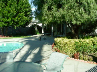 Enlarge photo 34