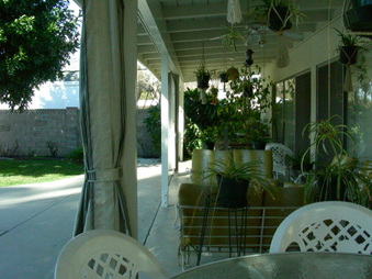Enlarge photo 36