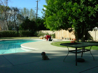 Enlarge photo 37